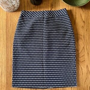 Coldwater Creek Skirt Women's 4 Lined Skirt Navy Boss